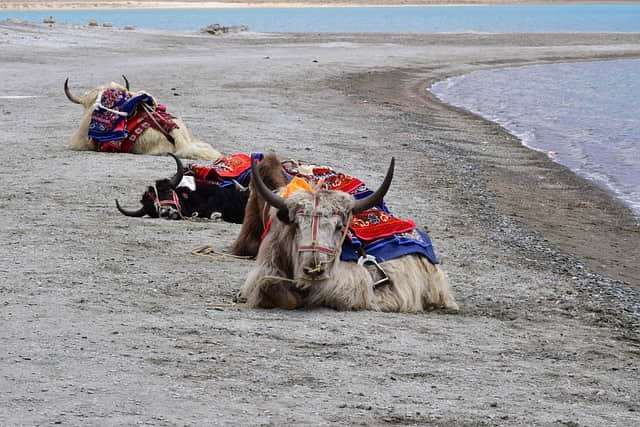 MAGICAL LADAKH TOUR